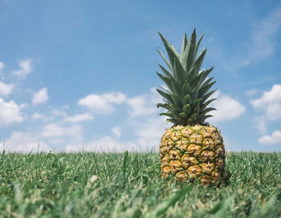 Green Lady Lounge photo 2