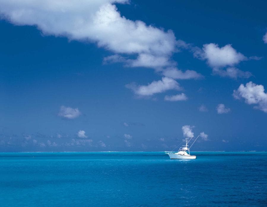 The Art Garage photo 2