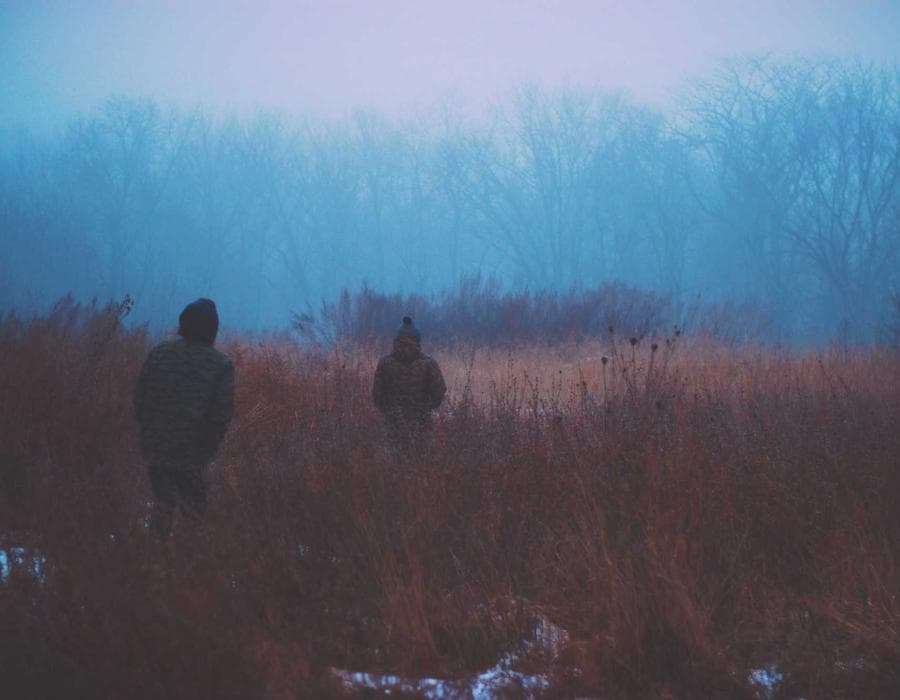 The Violet Hour